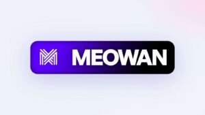 Meowan lance six forfaits sur Orange et des box 4G/5G